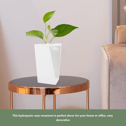 minkissy Test Tube Glass Vase with White Wooden Rack Small Hydroponic Plant Holder for Indoor Wall Garden Terrarium Home Décor