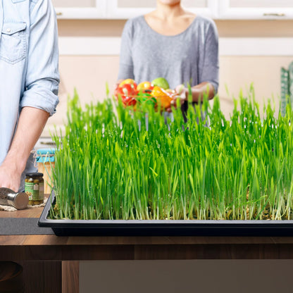 RooTrimmer Growing Trays, 1020 Plant Nursery Trays Heavy Duty Seed Starter Flat Seedling Tray for 72/128 Cell Plug Tray Transplant Growing Microgreens (21"×11", 10 Pack, 1.6" Deep, Without Holes)