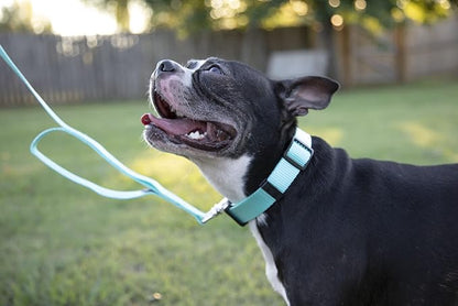 Country Brook Petz - Everyday Nylon Dog Collar and Leash - 10+ Cool Colors (1 Inch, Extra Large, Light Cyan)