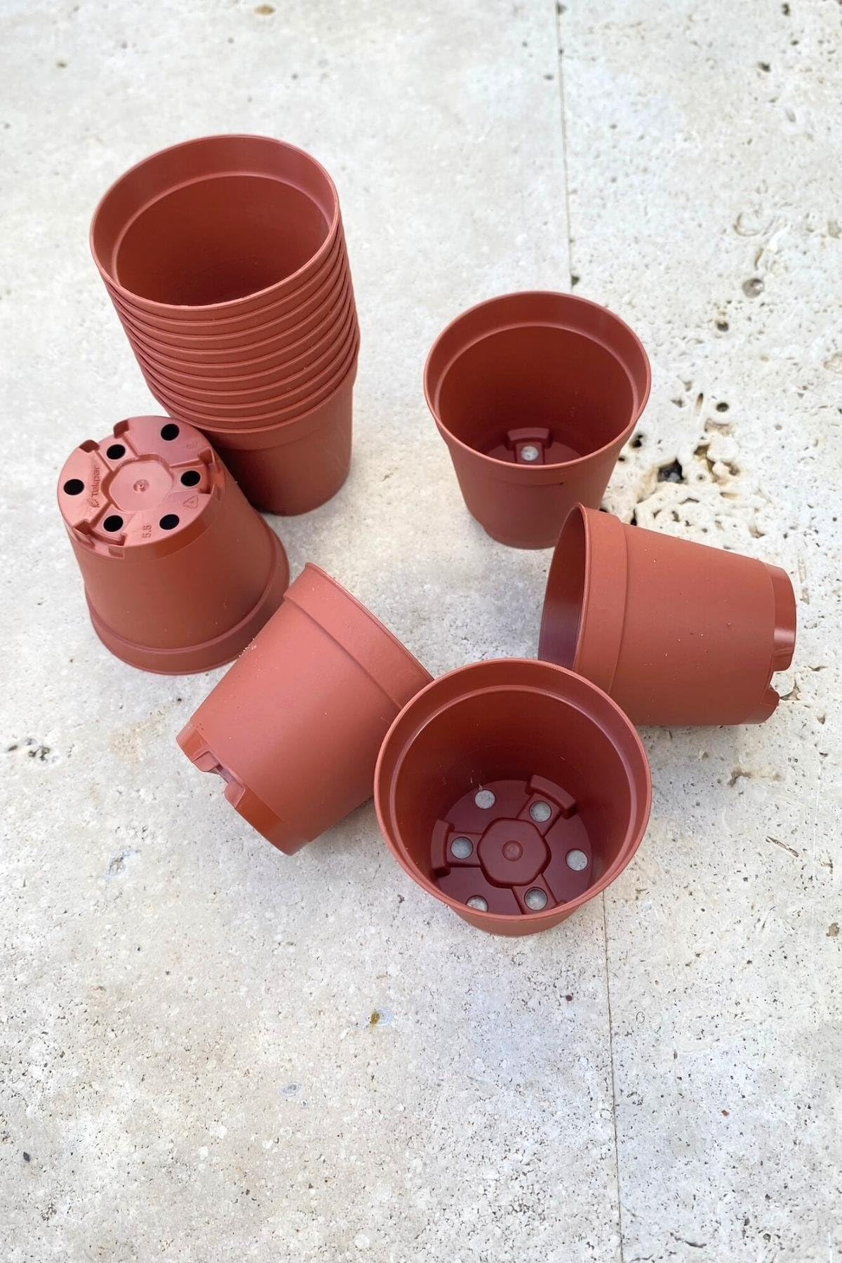 serazat 50 Pack Mini Brown Plastic Plant Pots – 2.16 x 1.97 Inch Nursery Pots for Small Plants, Succulents, Flowers – Ideal for Home & Office Decor