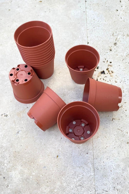serazat 50 Pack Mini Brown Plastic Plant Pots – 2.16 x 1.97 Inch Nursery Pots for Small Plants, Succulents, Flowers – Ideal for Home & Office Decor