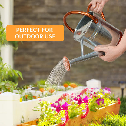 Lechloris Metal Watering Can for Outdoor Plants, Galvanized Steel Watering Can with Removable spout, 1 Gallon,Perfect Home & Garden Décor Retro Zinc Hue