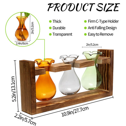 Plant Propagation Station Plant Terrarium Unique Birthday Gifts for Women Home Office Decor Planter with Wooden Stand - 3 Bulb Glass Vase