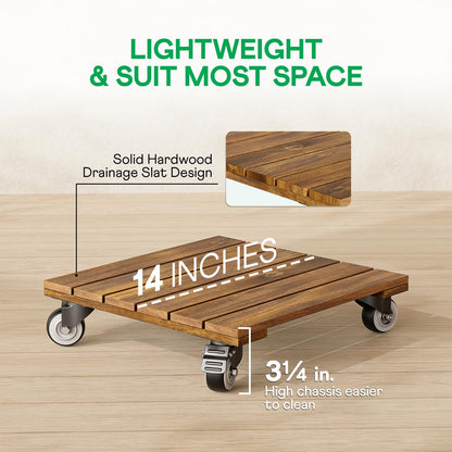 Idzo 2-Pack 12 Inch Acacia Wood Rolling Square Plant Caddy for Plant Pots, Heavy Duty Plant Stand with 360° Lockable Wheels, 264 lbs Capacity Caddy for Indoor and Outdoor Use, Natural Wood