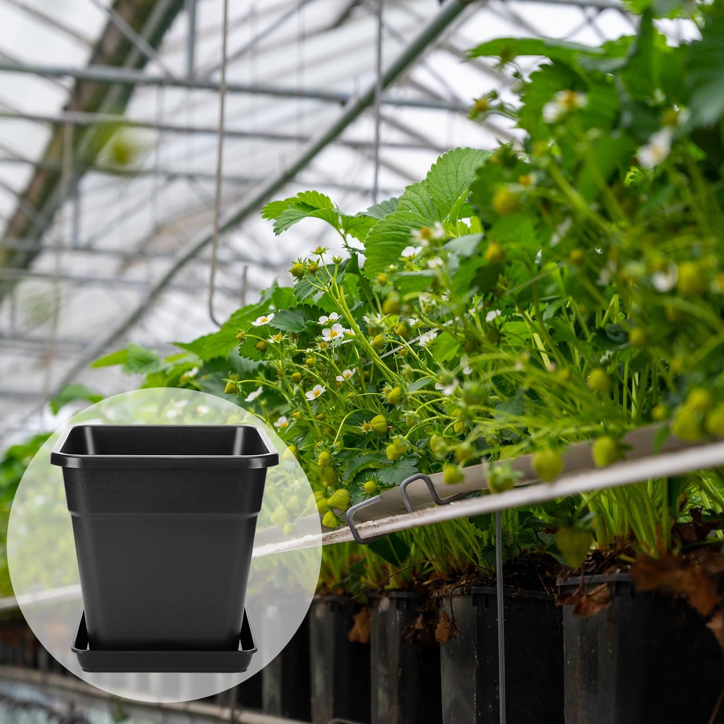 RimCereal 8 Pack 5 Gallon Large Square Nursery Pots 12 Inch with Drainage Saucers Black Plastic Plants Pots Outdoor Garden Planter Container for Indoor Outdoor Vegetables Flower Succulent Gifts