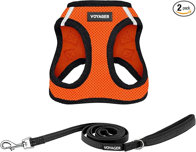 Best Pet Supplies Voyager Step-in Air All Weather Mesh Harness and Reflective Dog 5ft Leash Combo with Neoprene Handle, for Small, Medium and Large Breed Puppies - Orange/Black Trim, X-Small