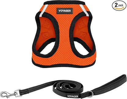 Best Pet Supplies Voyager Step-in Air All Weather Mesh Harness and Reflective Dog 5ft Leash Combo with Neoprene Handle, for Small, Medium and Large Breed Puppies - Orange/Black Trim, Large