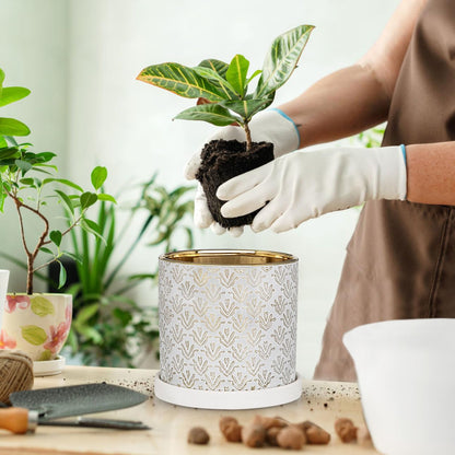 Ceramic Plant Pots with Drainage Hole & Saucer, Gold & White Ceramic Planter Pot for Indoor & Outdoor, 5.5 Inch Small Plant Pots Decorative Flower Pot for Herbs, Cactus, Orchids, Succulents Planters