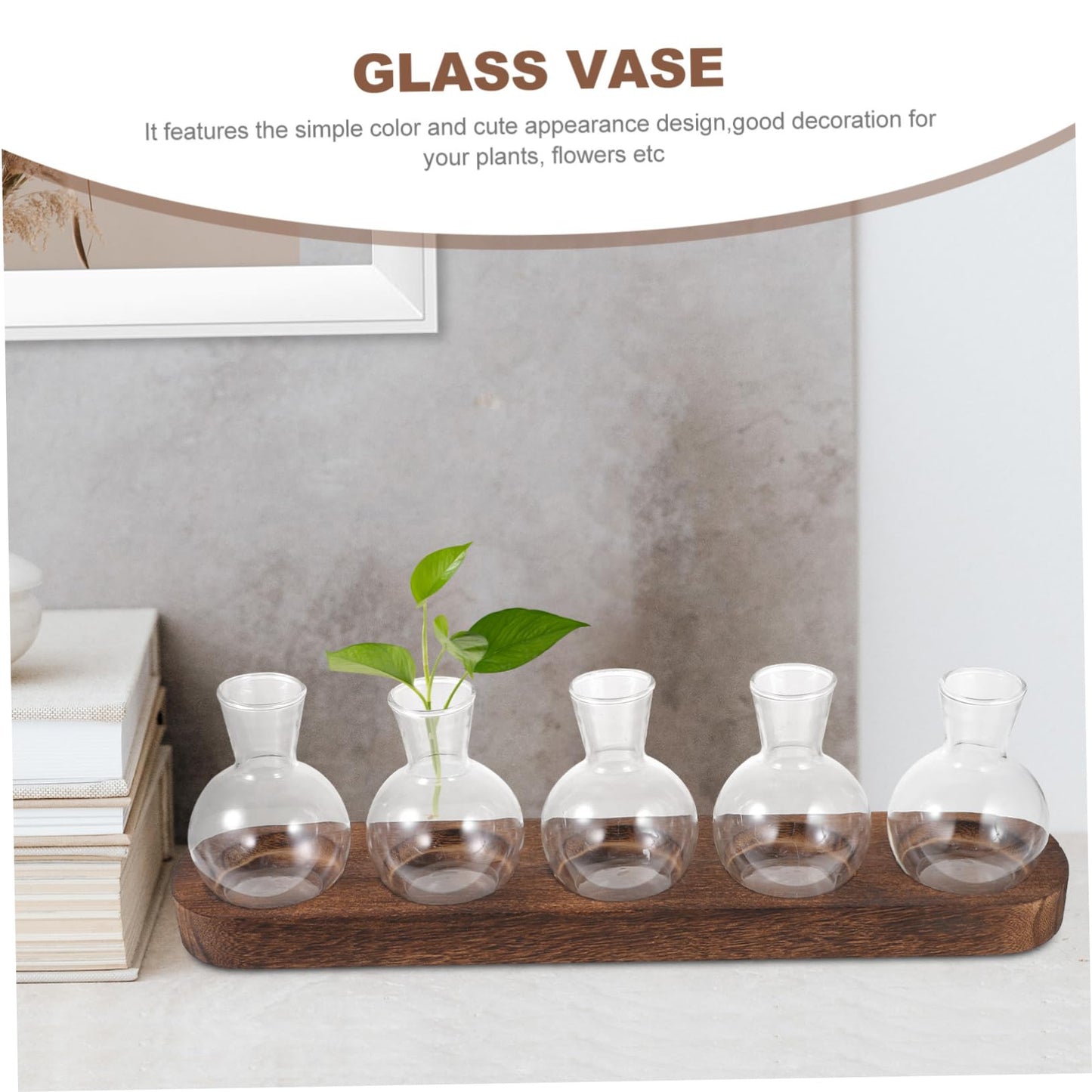 LIOOBO Modern Home Decor Glass Vase Pothos Plant Container Desktop Terrarium Bud Vase Centerpiece