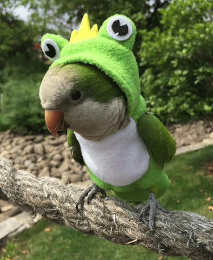 Bird Costume Diaper Flight Suit Frog Shape Hoodie Clothes Cosplay Photo Prop for Parrots Parakeet Cockatiel Sun Conure, Small Animals Apparel (Pink with Diaper, Large), Green (BPF1)