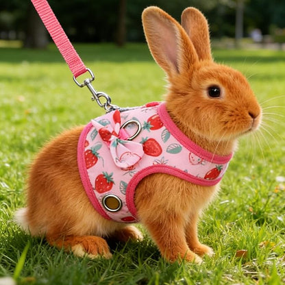 Zunate Rabbit Harness and Leash Set, Escape Proof Small Pet Harness with Dual Safety Buckles, Soft Lightweight Vest for Guinea Pigs, Ferrets, Chinchillas (S)