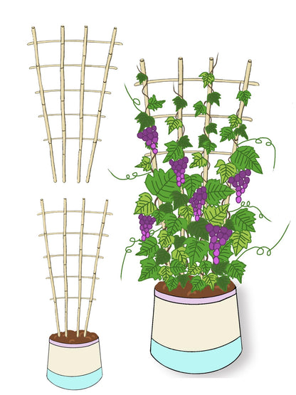 Natural Bamboo Trellis, 4Feet,3Pack,Fan-Shaped Plant Support Trellis for Outdoor and Indoor Potted Climbing Plants,Vegetables, Cucumber, Tomato, Hoya,