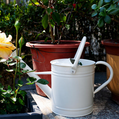 HORTICAN 1 Gallon Watering Can, Matte Cream, Metal Watering Can with Removable Spout, Galvanized Water can, Perfect Plant Water Can for Outddor and Indoor Use
