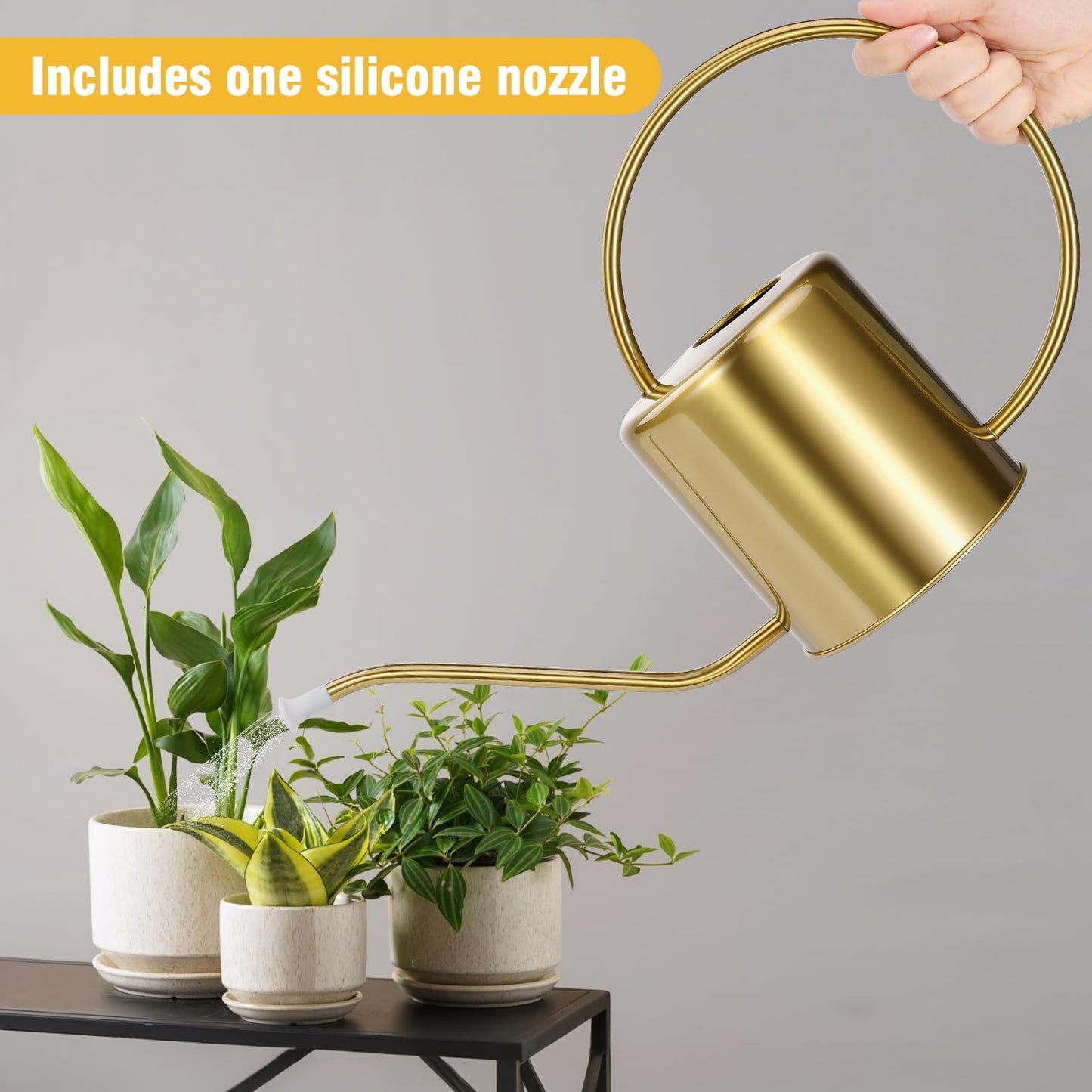 Plant Watering Can, 50 oz / 1500 ml Stainless Steel Metal - Modern Decorative with Long Spout for Indoor Potted Plants, Bonsai, Garden Flowers, Gold