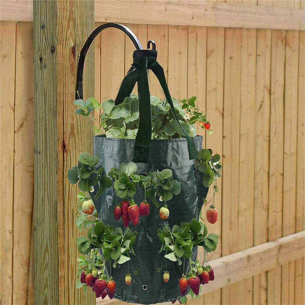 EBOCACB 3 pcs Hanging Planter Bag with Handles, Plastic Hanging Strawberry Planting Containers Strawberry Grow Bags Foldable Durable Growing Bags Grow Planter for Growing Vegetables Flowers Herb Plant
