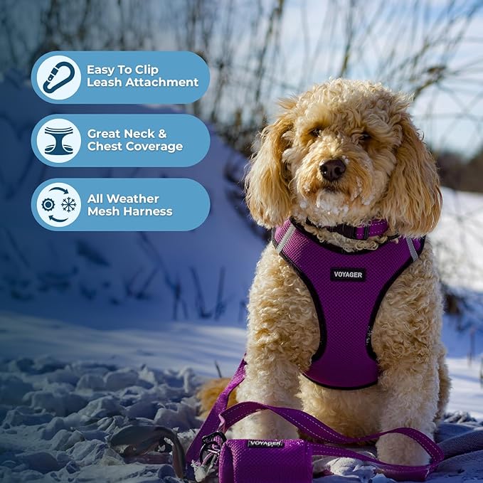 Best Pet Supplies Voyager Step-in Air All Weather Mesh Harness and Reflective Dog 5ft Leash Combo with Neoprene Handle, for Small, Medium and Large Breed Puppies - Purple/Black Trim, X-Small