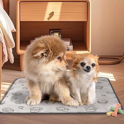 Qeils Reusable Puppy Pads, 2 Pack Washable Pee Pads for Dogs, Waterproof Non Slip Wee Wee pad, Absorbent and Leakproof Training Mats for Potty, Crate, Playpen, Bed, Sofa, 36"x 36"