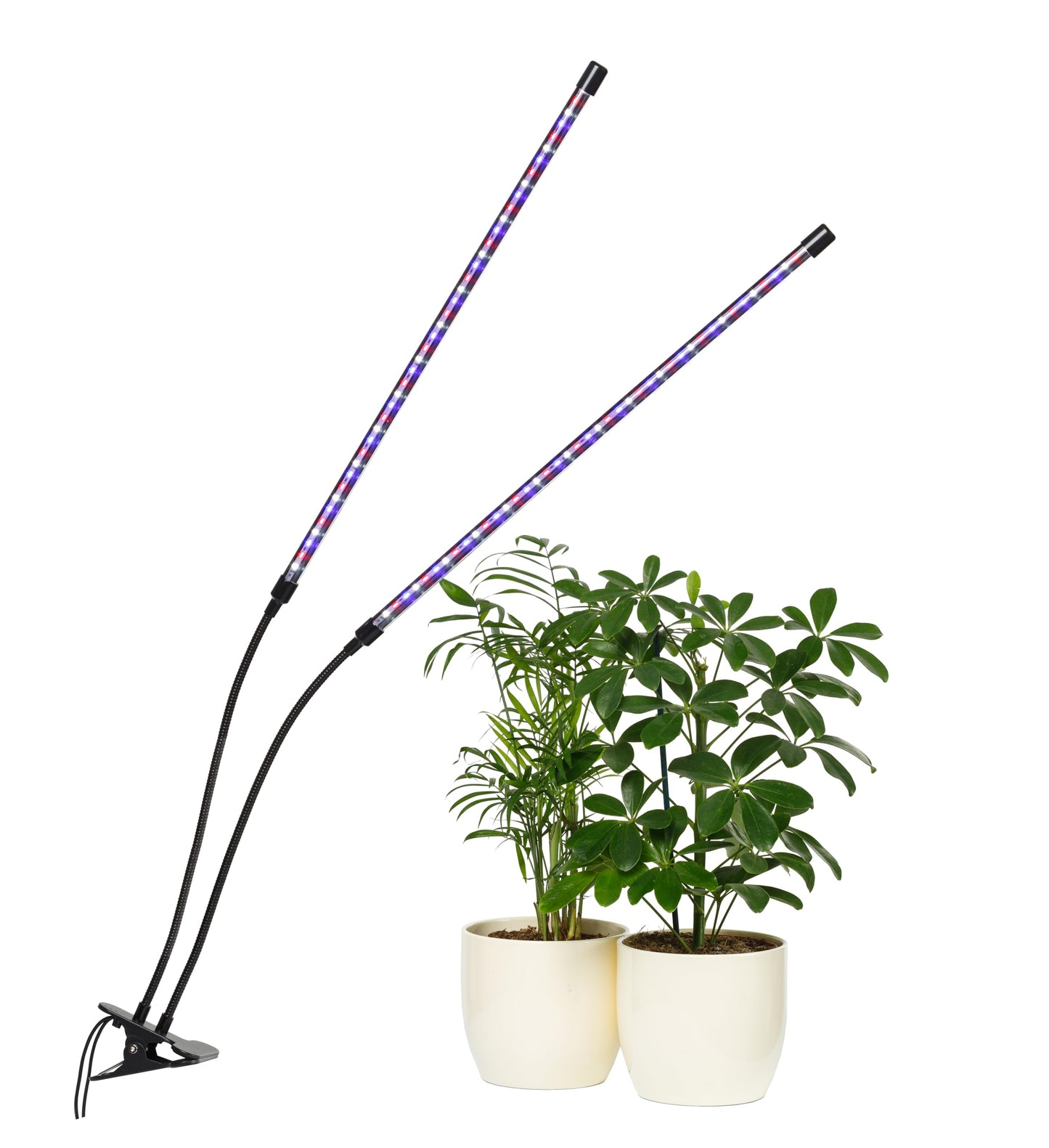 Carpathen Indoor Greenhouse with 4 LED Lights Strip + 2 Gooseneck Plant Lamp Clip-on + 2 Heat Mats - Mini Greenhouse with Zip PVC Cover