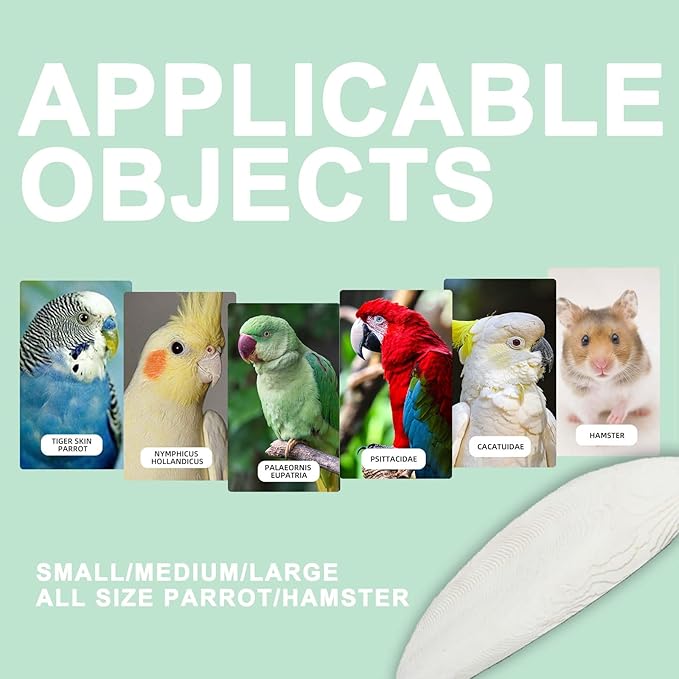 Natural Cuttlebone for Birds Parakeets Canaries Cockatiels Small Conures Mynahs Toucans African Greys All Parrots Snails Totoise, with Holder for Bird Cage (5.5-6 inch,2PCS)