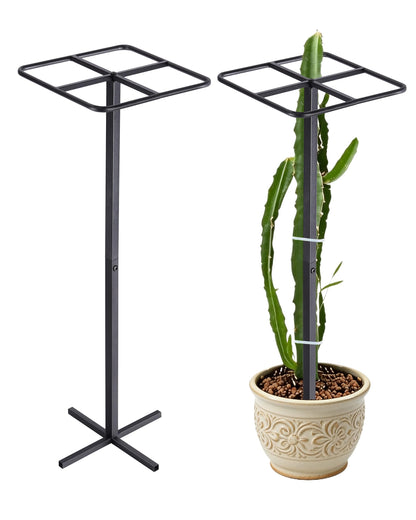 Metal Dragon Fruit Trellis 62" - Adjustable Heavy Duty Metal Plant Support with Square Top Design for Climbing Plants and Vertical Gardening, Powder-Coated Black for Garden, Patio, Indoor Use