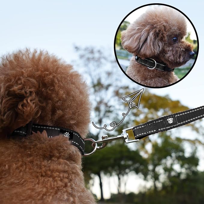 NESTROAD Dog Collar and Leash Set,Reflective Dog Collars with Quick Release Buckle,Adjustable Nylon Pet Collar for Small Medium Large Dogs(Small,Black)
