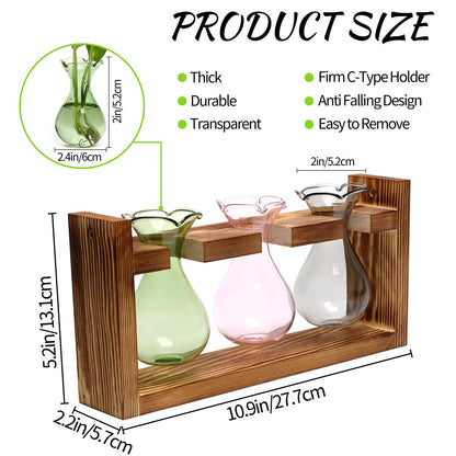 Plant Propagation Station Plant Terrarium Unique Birthday Gifts for Women Home Office Decor Planter with Wooden Stand - 3 Bulb Glass Vase