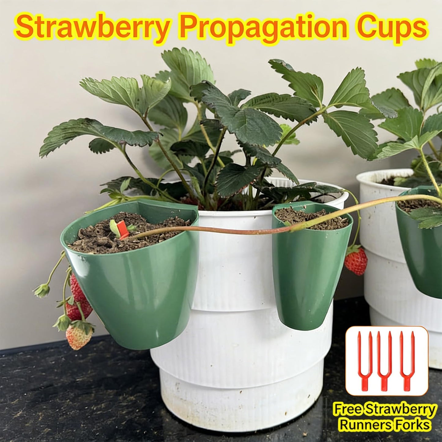 Strawberry Propagation Cups with Runner Forks Breathable Nursery Pots for Root Rot, Food Grade Greenhouse Seedling Cups for Balcony and Garden