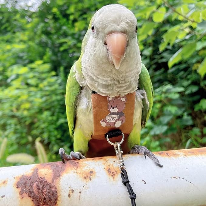 Bird Diaper Harness Flight Suit Clothes, Parrot Flight Suit with Leash for Parrot, Bird Flying Clothes with Rope and Handle for Outdoor Activities Training (Green-cheeked Conure,Without Leash)