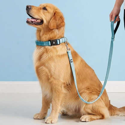 FURRYFECTION Reflective Dog Collar and Leash Set With Quick Release Buckle, Padded Neoprene Adjustable Nylon for Small Medium and Large Dogs (Medium Collar+5FT Leash, Blue)