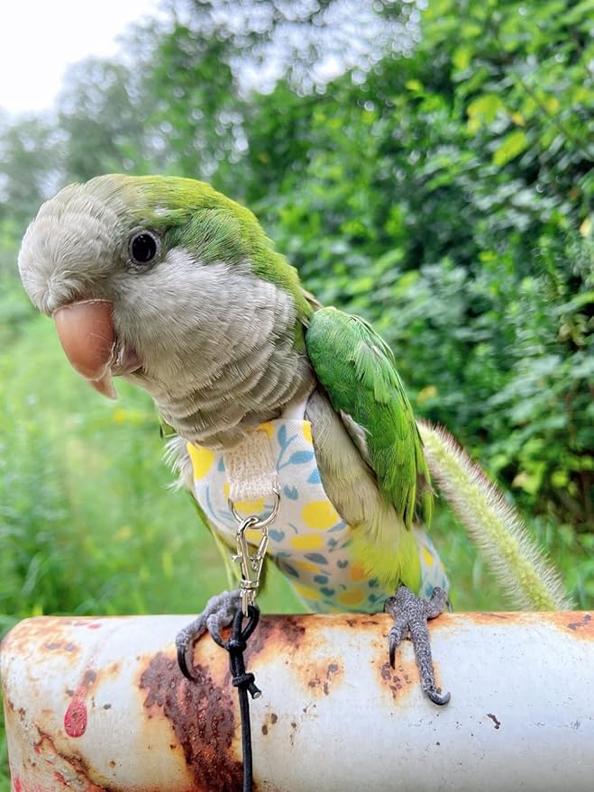 Bird Diaper Harness Flight Suit Clothes, Parrot Flight Suit with Leash, Bird Flying Clothes with Rope and Handle for Outdoor Activities Training (Yellow Without Leash,Large)