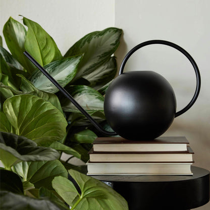 Bloem Fresca 2.5L Watering Can, Black Powder Coated with Novelty Handle and Long Sleek Spout