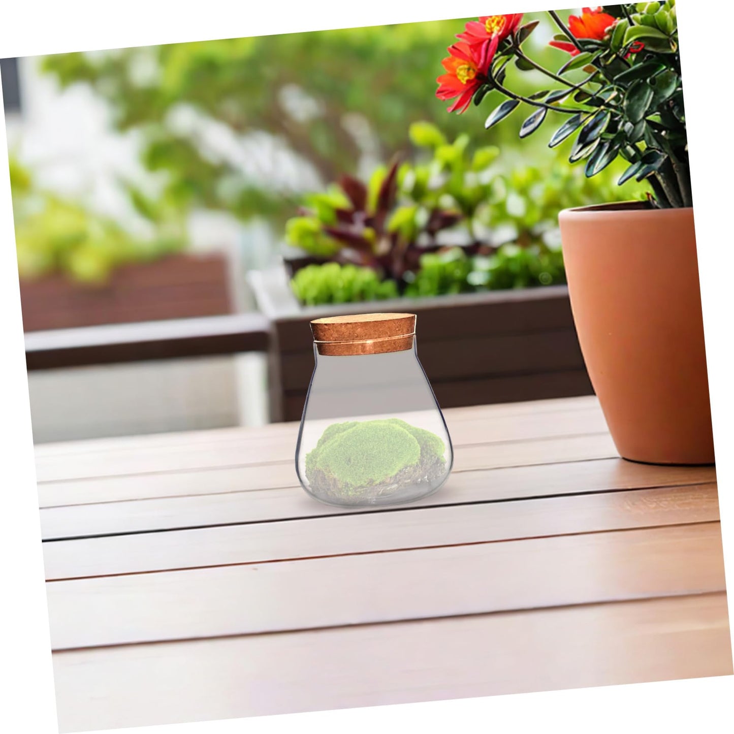HOMSFOU Plant Propagation Station Terrarium Glass Planter Vase with Cork Clear Plant Holder Flower Jars Hydroponics Air Planter Holder Candy Jar for Home Office