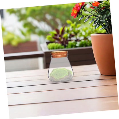 HOMSFOU Plant Propagation Station Terrarium Glass Planter Vase with Cork Clear Plant Holder Flower Jars Hydroponics Air Planter Holder Candy Jar for Home Office