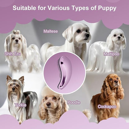 Small Dog Brush- Grooming Tool for Teddy, Yorkies, Maltese, Shih Tzu, Chihuahua - Puppy Hair Brush (Electroplating Purple)