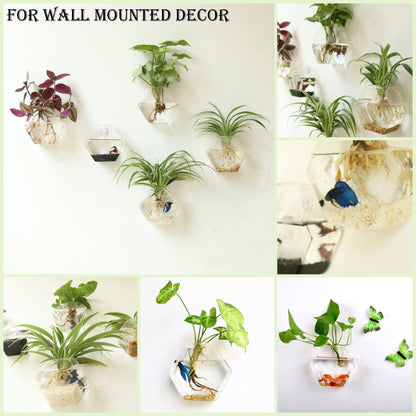 Kingbuy Hexagon Wall Planter Set - 3 Pack Glass Propagation Terrarium Vases with Hanging Mounts for Indoor Plants, Air Plants & Hydroponic Stations Home Office Decor, Plant Lover Gifts (Medium)