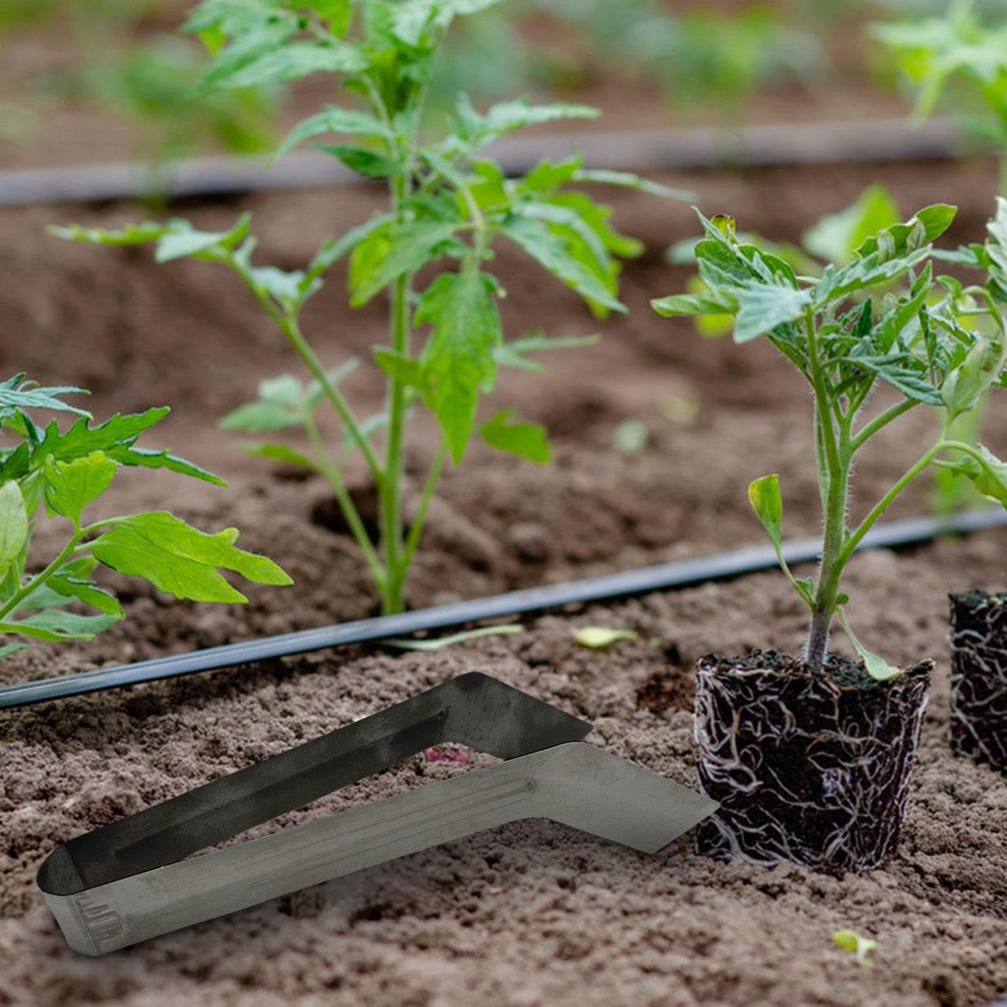 Seedling Transplant Tongs,Seedling Starters Stainless Steel Seedling Removal Transplant Pliers for Reducing Root Damage, Small