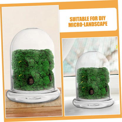 VANZACK 2pcs Moss Landscape Bottle DIY Plant Terrarium Glass Container for Indoor Home