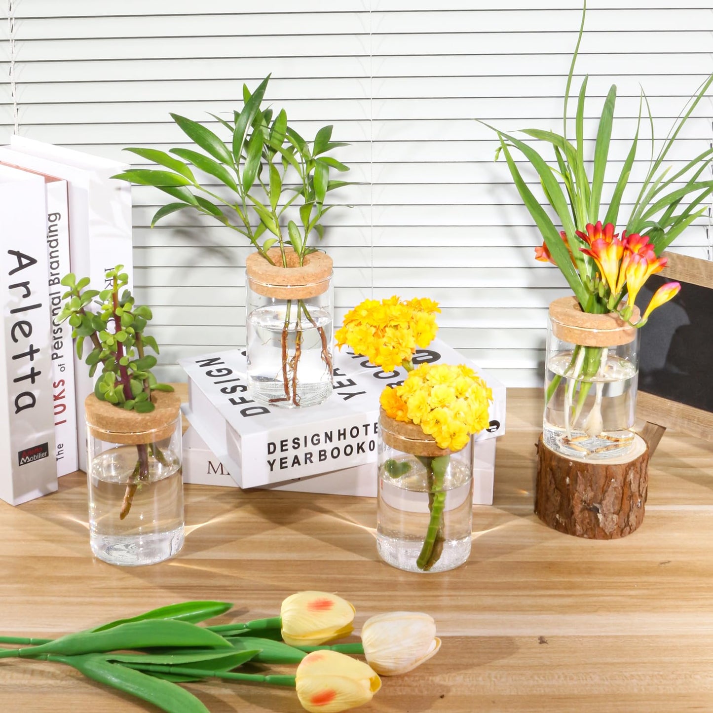 wangsdjy Separated Desktop Glass Flower Vases - Ideal Plants Propagation Stations for Living Room, Bedroom Decoration,Home Decor (4)