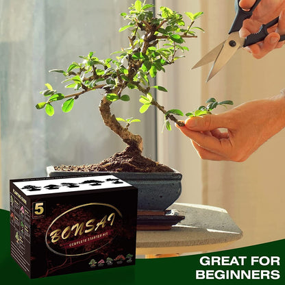 Meekear Bonsai Tree Kit with Complete Plant Growing Tools, Grow in Pot Indoor Bonsai Tree Starter Kit, Home Gardening DIY Gift for Adult