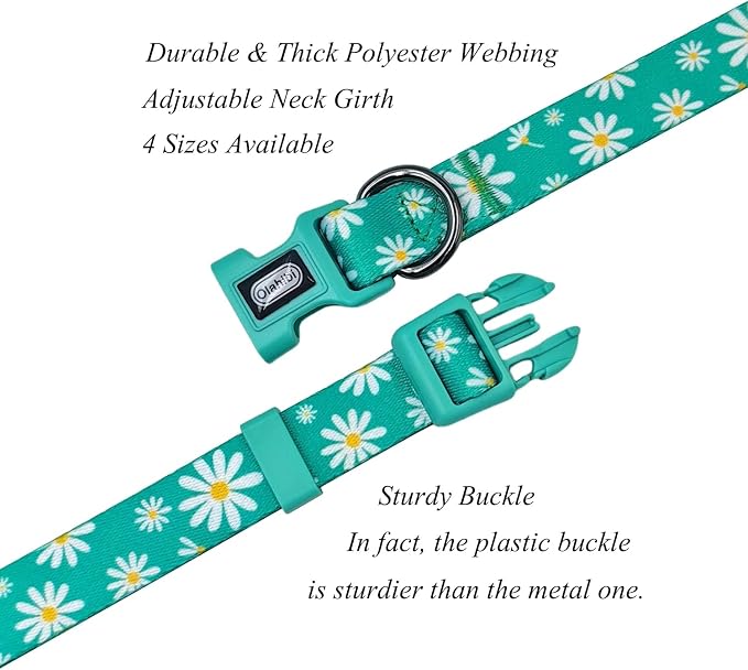 Dog Collar Leash Set, Floral Pattern, Polyester Material, Adjustable Collar and 5ft Matching Leash, for Small Dogs.(S, Green Daisy)