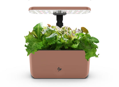 AeroGarden Harvest Lite in Mocha, Soil-Free Indoor Hydroponic Garden with LED Grow Light for Year-Round Gardening of up to 6 Herbs and Vegetables