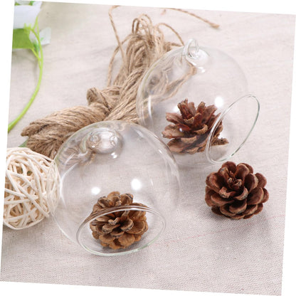 Cabilock 6pcs Clear Hanging Glass Vases Flat Base Design for Succulents and Plants for Terrarium Displays and Wedding Decor Lightweight Borosilicate Glass