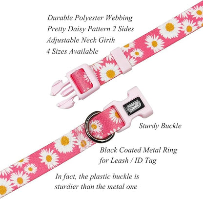 Dog Collar and Leash Set, Cute Pink Daisy Pattern, Polyester Material, 5ft Leash, for Puppy Dogs.(Extra Small, Pink Daisy)