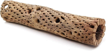 3, 6, 9, 12 Inch All Natural Teddy Bear Cholla Wood Extra Hollow Untreated Organic Aquarium Driftwood Decoration Chew Toy Shrimp Crab Cichlid Nano Tank Birds 1 or 5 Pieces (1 Piece, 12 inch)