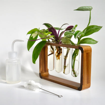 Source & Plot Plant Propagation Station - Acacia Wood Stand with 4 Glass Test Tubes, Tabletop Hydroponic Terrarium Planter Rack for Rooting & Houseplant Decor, Gift for Plant Lovers