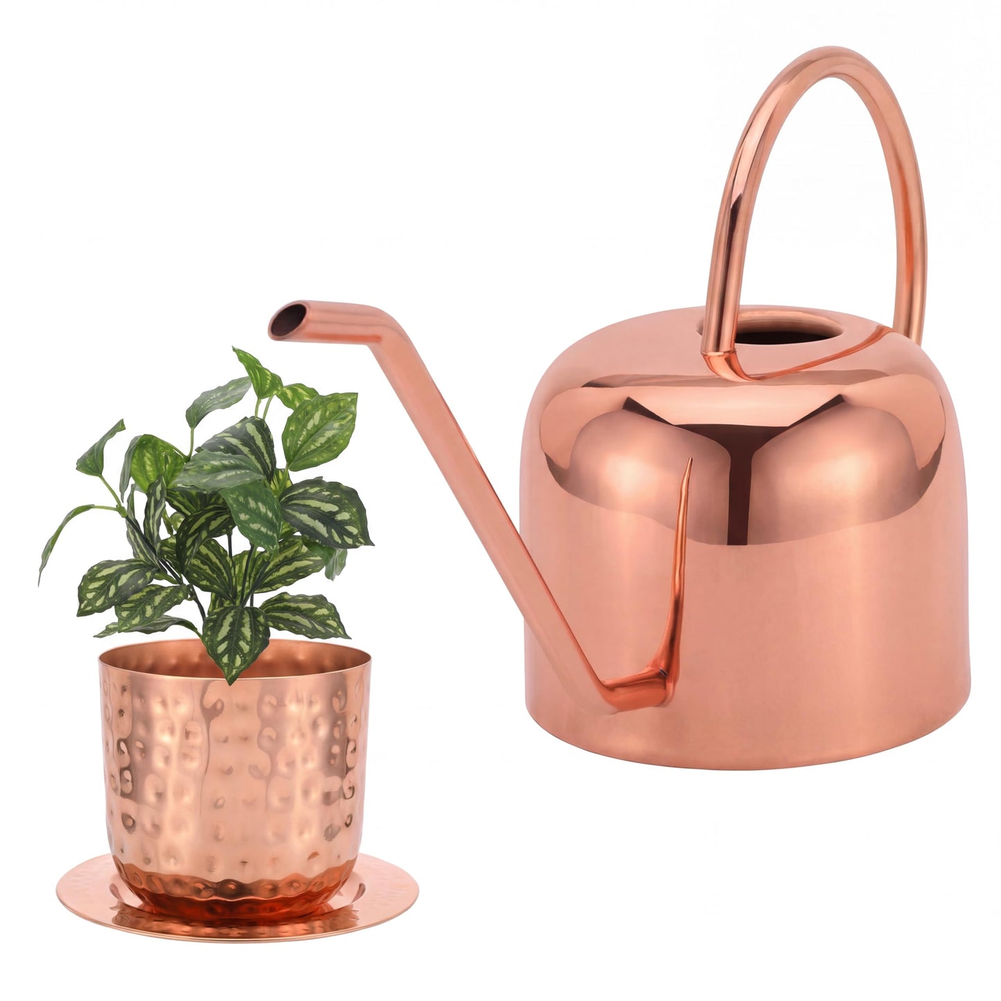 Glytterati - Indoor Watering Can and Planter with Plate.