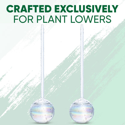 Mission Gallery Clear Plant Watering Globes Set of 2 - Large Self Watering Globes for Indoor & Outdoor Plants - Automatic, Glass Watering Bulbs for Daily Use, Plant Watering Devices