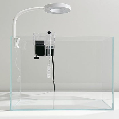 Nano Aquarium Kit 2.2 Gallon, Rimless Glass Betta Fish Tank with Filter & LED Light, 12" x 6" x 8" Small Desktop Fish Tank for Home Office (Transparent, Complete)
