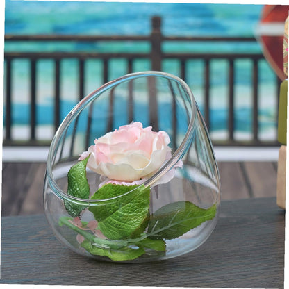 INOOMP 3pcs Slant Cut Glass Bottle Ecological Terrarium Vases Tabletop Micro Landscape Succulent Plant Holder for Home Décor