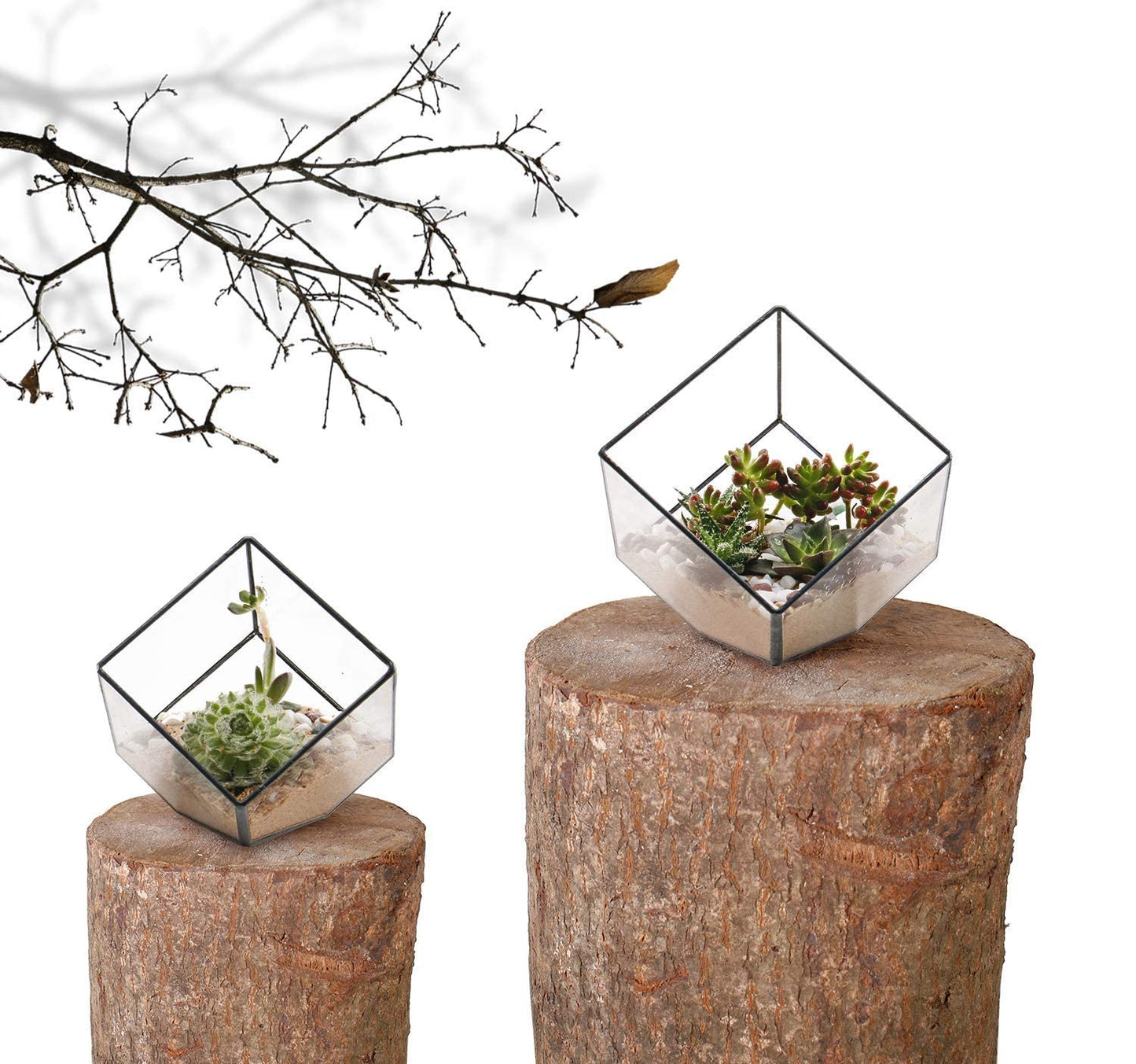 ELEGANTLIFE Glass Geometric Plant Terrarium Container, Flower Pot Tabletop Planter Decor Glass Display Box Succulent & Air Planter for Home Garden Office Decoration(Black Cubic Set of 2)